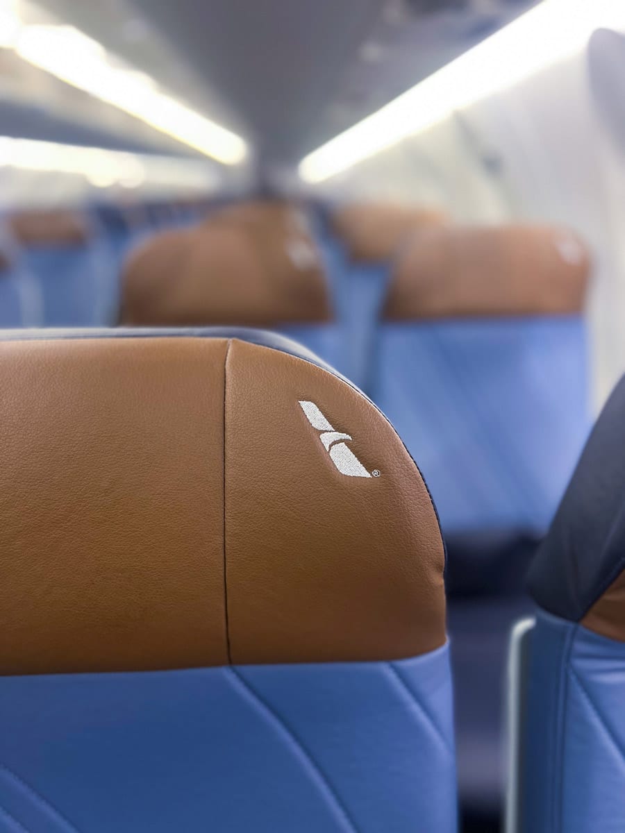 Closeup on the brown headrests, with the American Airlines eagle marque in silver stitching.